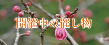 開催中の催し物