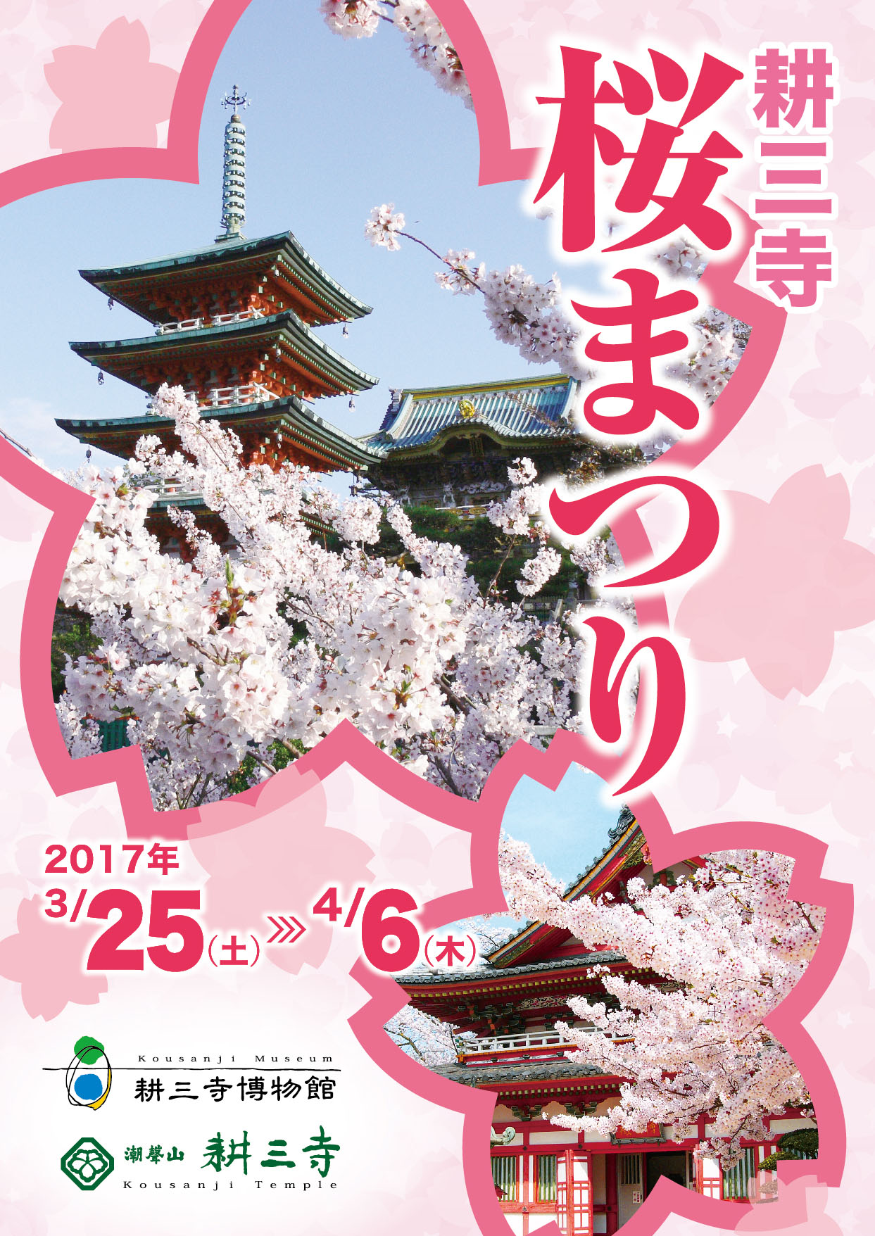 2017sakura-1