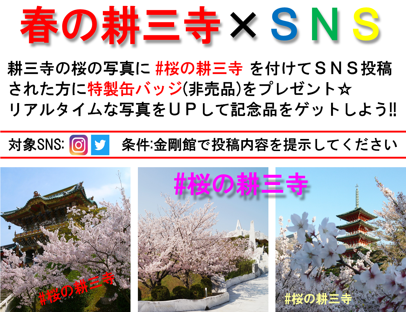 HP用（春の耕三寺×SNS）